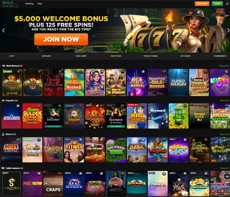 Wild Casino Screenshot