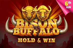 Tom Horn Gaming Bison Vs Buffalo casino game