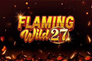 Tom Horn Gaming Flaming Wild 27 casino game